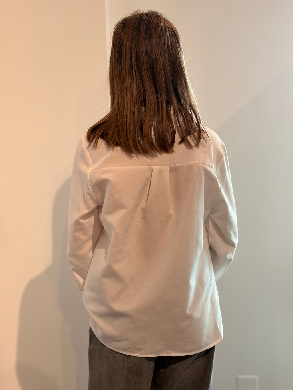 Chemise DELMART