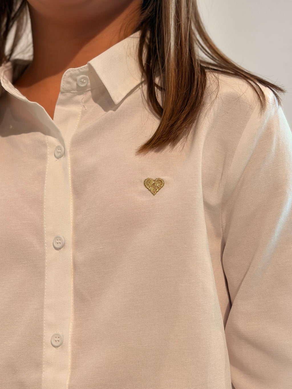 Chemise DELMART