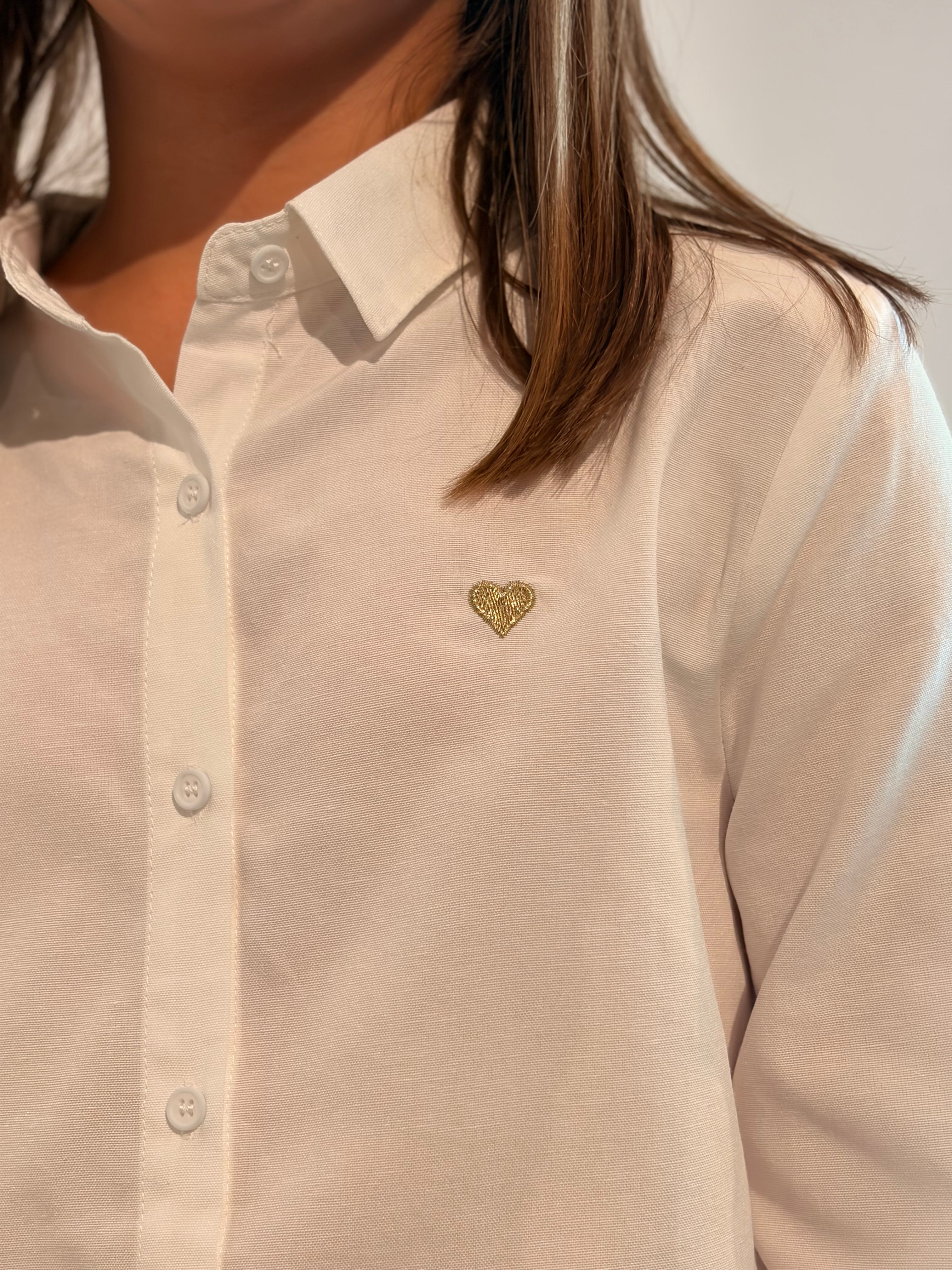 Chemise DELMART