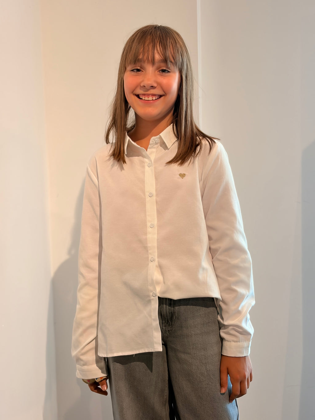 Chemise DELMART