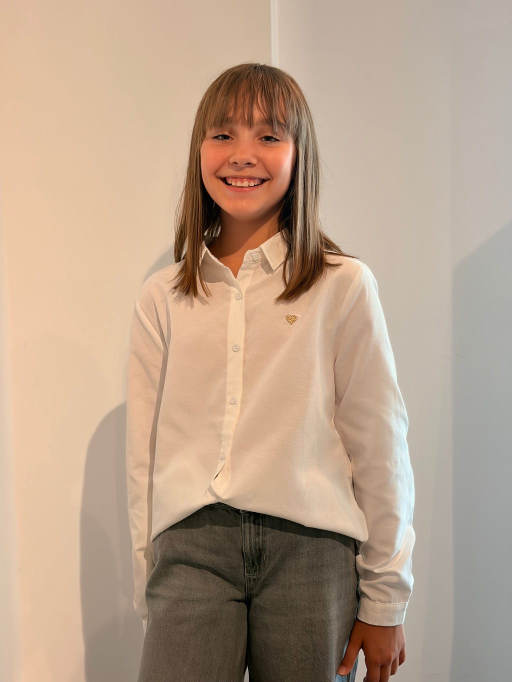 Chemise DELMART