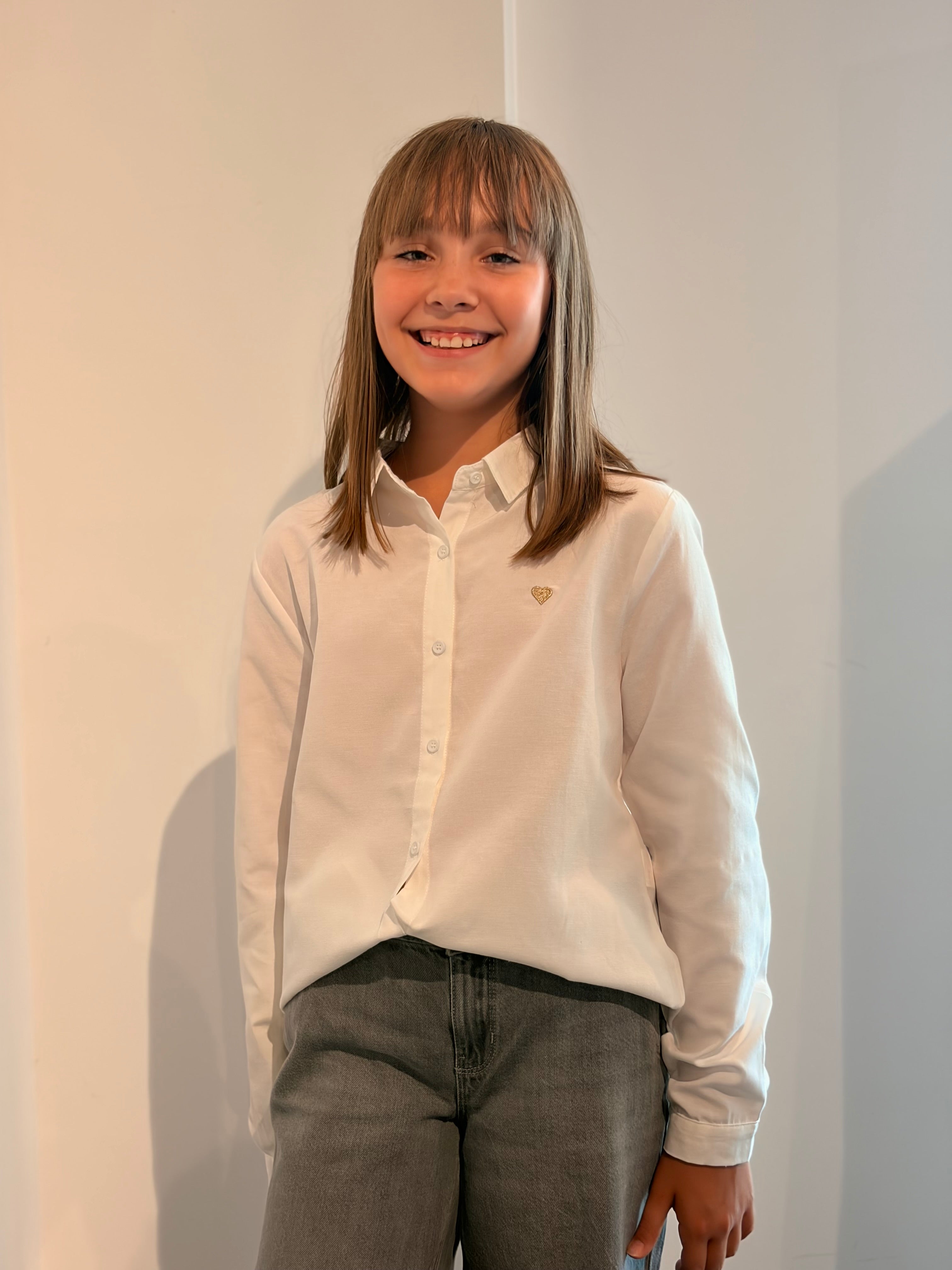 Chemise DELMART